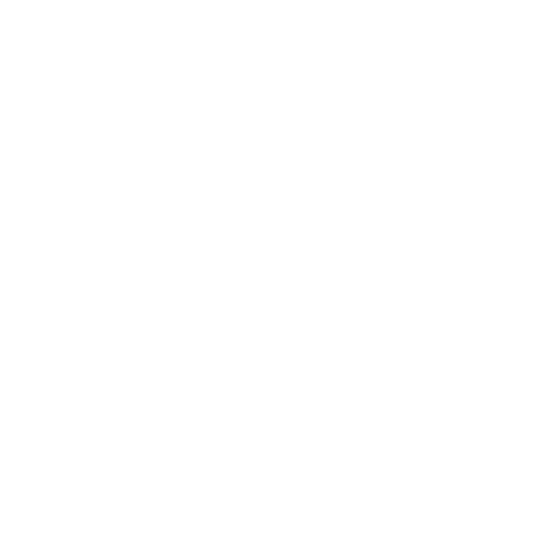 Trans Icon